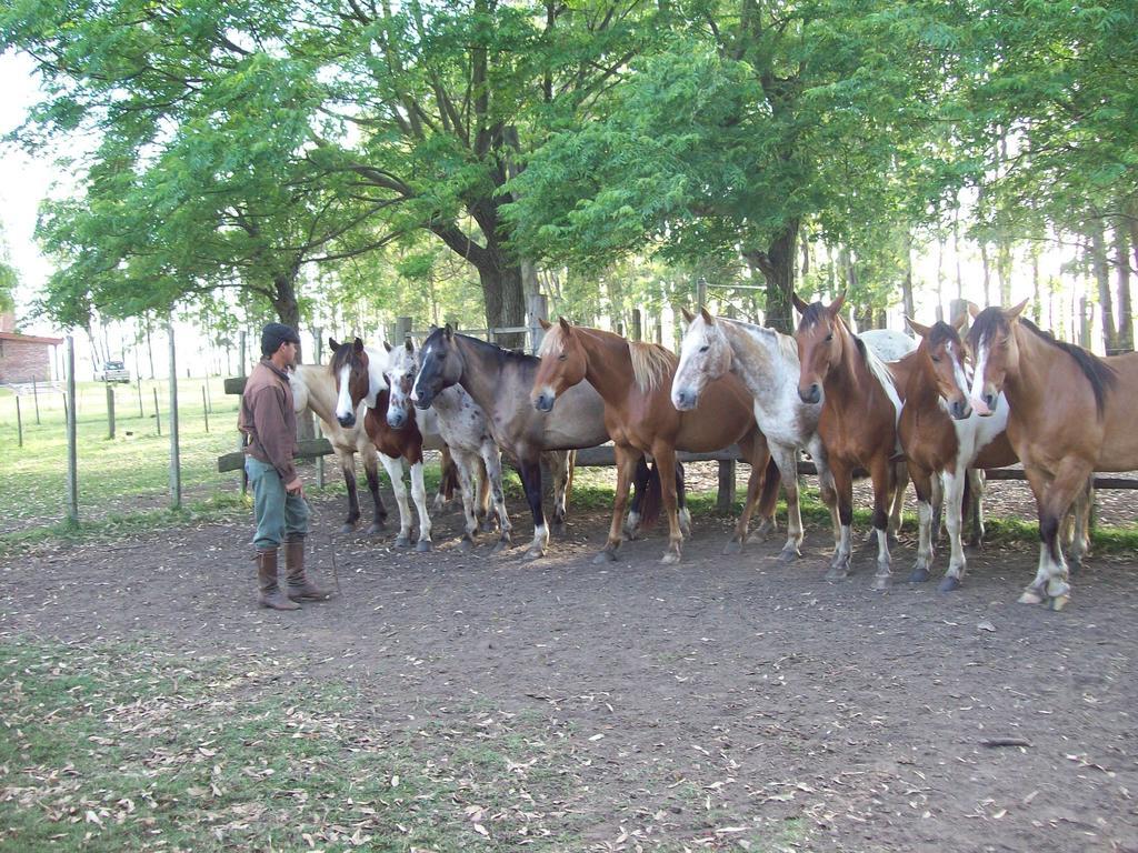 Estancia Turistica La Amorosa Trinidad Cameră foto